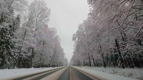 Point-of-view-shot-of-a-car-driving-on-narrow-countryside-road-during-winters-and-trees-covered-with-snow