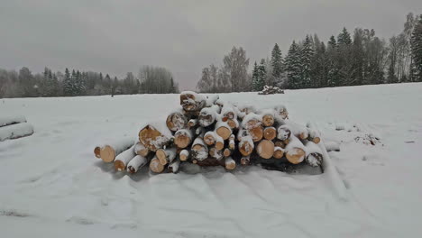 Pan-shot-of-snow-covered-felled-beech-trunks-on-the-outskirts-of-a-forest-on-a-cold-winter-day
