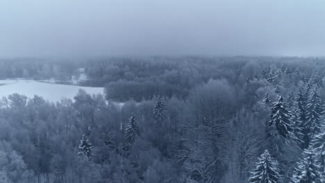 Aerial-drone-pan-shot-over-frozen-lake-surrounded-by-white-snow-covered-coniferous-trees-on-a-coldy-winter-day