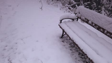 Gefrorene-Schneebedeckte-Parkbank-In-Niebieskie-Zrodla-Naturschutzgebiet-Winterszene,-Polen