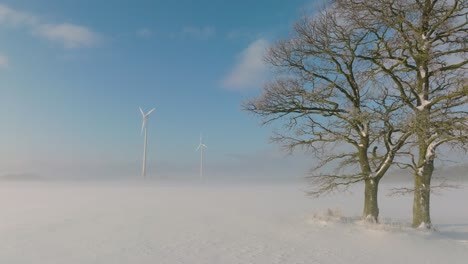 Aerial-view-of-wind-turbines-generating-renewable-energy-in-the-wind-farm,-snow-filled-countryside-landscape-with-fog-and-lone-oak-tree,-sunny-winter-day,-wide-drone-shot-moving-forward-low
