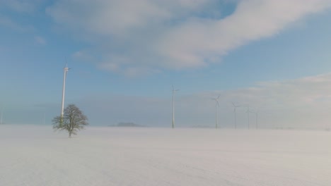 Aerial-view-of-wind-turbines-generating-renewable-energy-in-the-wind-farm,-snow-filled-countryside-landscape-with-fog-and-lone-oak-tree,-sunny-winter-day,-wide-drone-shot-moving-forward-low