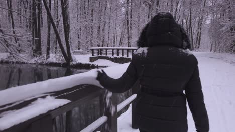 Warm-dressed-carefree-female-removing-snowfall-from-wooden-river-railing-in-Polish-winter-woodland