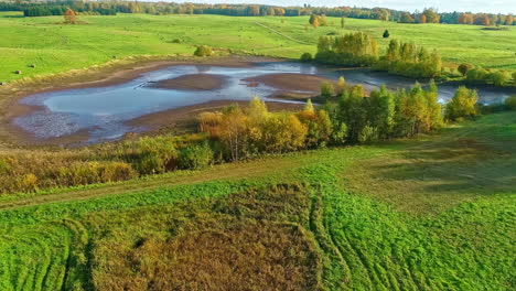 Green-fields-of-freshly-harvested-hay-bales-and-a-pond-drying-up-in-autumn---aerial-flyover