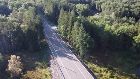 birds-eye-view-to-a-rural-Pennsylvania-road-in-a-forest