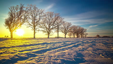 Picturesque-time-lapse-shot-of-golden-sunset-falling-behind-leafless-trees-in-winter-scenery