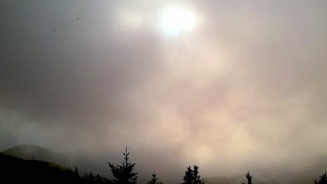 Antenne-Durch-Den-Nebel-Und-über-Die-Nadelbäume-In-Den-Blue-Ridge-Mountains-Und-Den-Appalachen