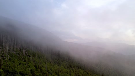 Nebel-über-Dem-Hang-Der-Appalachen-In-Der-Blue-Ridge-Gebirgskette