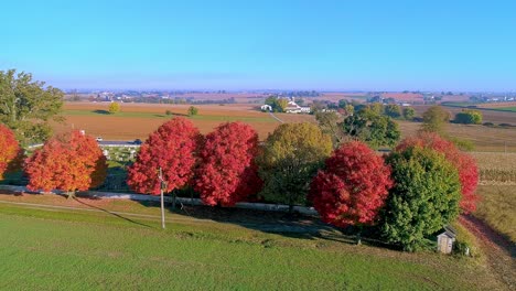 A-Drone-View-of-a-Row-of-Autumn-Trees,-with-Bright-Orange-and-Red-Leaves-Looking-Over-Farmlands-on-a-Bright-Sunny-Morning