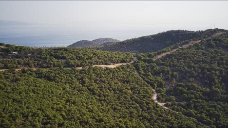 Luftaufnahme-Eines-Schönen-Waldes-In-Agia-Marina-An-Einem-Sonnigen-Tag
