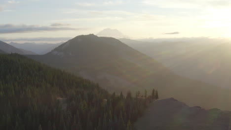 Dense-thick-pine-forest-of-Mount-Rainier-Stratovolcano-Washington-aerial