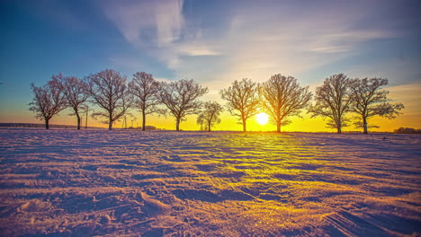 Ein-Farbenprächtiger-Sonnenuntergang-Eine-Mit-Frost-Bedeckte-Baumreihe-Mit-Sonne-Wirft-Schatten-über-Ein-Schneebedecktes-Feld---Zeitraffer