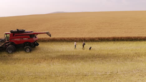 Farmers-inspecting-fresh-cut-canola-stems-on-farm-land-with-dog,-combine-harvester,-aerial