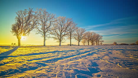 Sonnenuntergang-Bis-Sonnenuntergang-Hinter-Einer-Frostbedeckten-Baumreihe-In-Einem-Winterwunderland-Aus-Farben-Und-Schatten---Zeitraffer