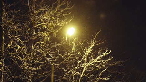 Dark-evening-in-park-light-up-by-street-lights-in-winter-with-snowfall