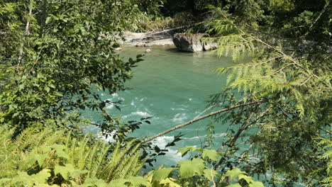 View-of-Turquoise-Mountain-Stream-Flowing-through-Green-Foliage-and-Brush