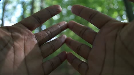 Offene-Hände-Natur-Verschwommener-Hintergrund