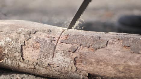 Sawing-tree-branch-with-handsaw-to-prepare-campfire-on-wilderness-camp,-close-up