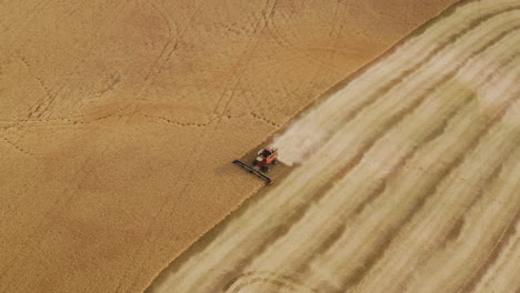 Single-combine-harvester-working-on-large-grain-field-in-America,-aerial