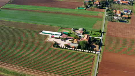 Aerial-View-of-Italian-Winery-surrounded-by-wine-fields