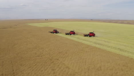 Vast-American-grain-landscape-with-combine-harvester-at-work,-aerial