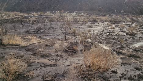 Glidecam-shot-of-what-remains-of-the-natural-environment-after-the-devastating-Fairview-wildfires-in-Hemet,-California