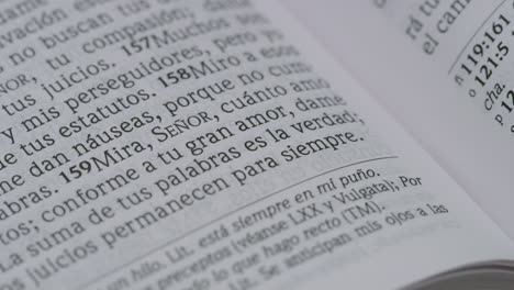 Spanische-Bibel-Heilige-Bibel-Spanisch-Christliche-Bibel-Christliche-Königin-Valera