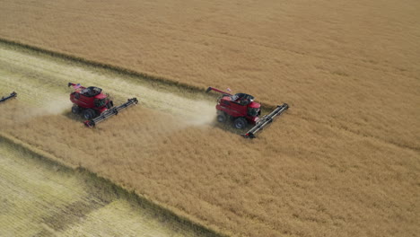 Three-combine-harvester-moving-together-collecting-ripe-grain-in-countryside