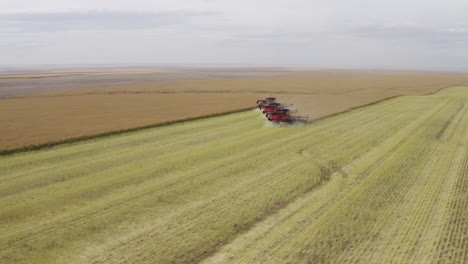 Three-combine-harvester-machines-working-together-on-canola-field,-aerial