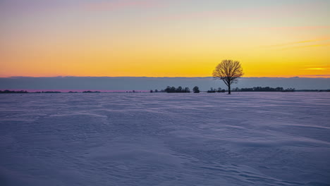 Shot-of-vibrant-winter-sunset-in-timelapse-over-snow-covered-landscape-with-a-solitary-tree-in-distance-during-evening-time