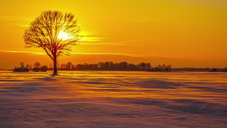 Goldener-Sonnenuntergang-Im-Zeitraffer-Mit-Dem-Wind,-Der-Schneepulver-über-Das-Gefrorene-Feld-An-Der-Silhouette-Eines-Einsamen-Baums-Fegt---Zeitraffer