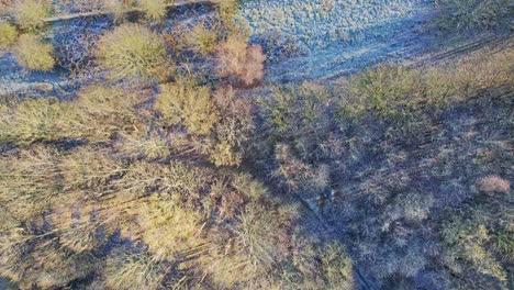 Overhead-birdseye-view-of-frosty-winter-woodland-crossing-over-a-road-with-traffic