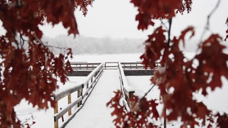 Schneebedeckte-Brücke-Auf-Einem-Zugefrorenen-See-An-Einem-Verschneiten-Wintertag,-Der-Durch-Einige-Bäume-Geschossen-Wurde