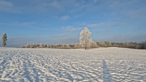 A-snowy,-winter-landscape-with-frost-on-the-trees-and-the-shadow-of-a-person-walking