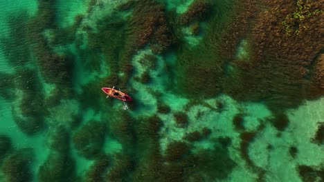 Aerial-view-of-people-kayaking-in-the-shallow-waters-of-the-Rapidos-de-Bacalar,-in-sunny-Mexico---cenital,-drone-shot