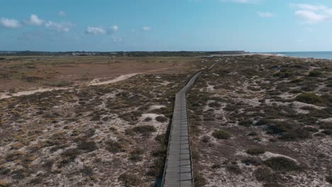 A-aerial-view-of-a-walkway-near-the-beach-and-a-group-of-horses-coming-in-the-horizon