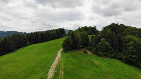 Serene-hiking-trail-on-meadow-and-forest-of-Beskid-Sadecki-mountain,-Poland,-aerial-view