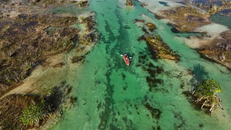 Aerial-view-of-people-kayaking-in-the-shallow-channel-of-the-Rapidos-de-Bacalar,-in-sunny-Mexico---reverse,-drone-shot