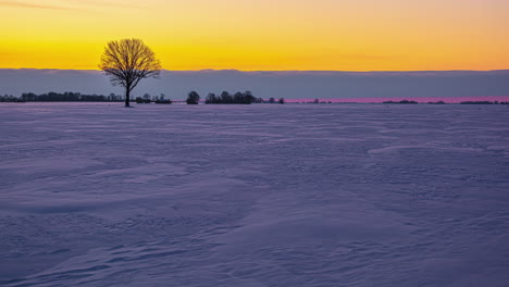 Snowy-Winter-Landscape
