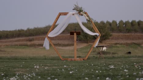 Backyard-wedding-decorated-with-white-petals-and-white-horse-in-the-background