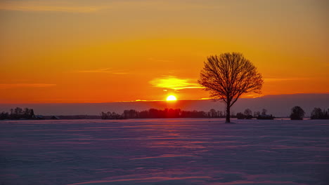 Time-lapse-shot-of-yellow-sunrise-lighting-over-snowy-ice-storm-in-winter
