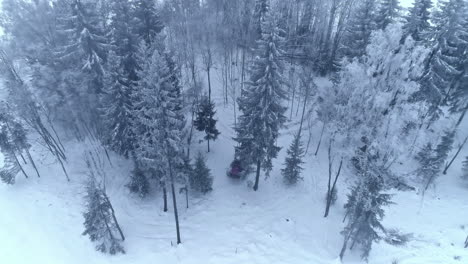Wald-Im-Schnee,-Durch-Den-Ein-Traktor-Fährt