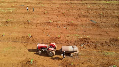 Masai-mann,-Der-Avocado-Pflanzt,-Schaufeln---Afrika-Intelligente-Landwirtschaftstechnologie---Luftdrohnenansicht-Der-Avocadofarm-In-Kenia