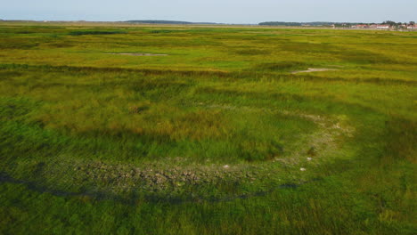 Aerial-Drone-Shot-Flying-Over-Green-Salt-Marsh-with-Burnham-Overy-Staithe-in-Background-in-North-Norfolk-UK