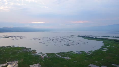 Lake-with-fish-cage-surrounded-by-rice-fields-in-Rawa-Pening-lake,-Indonesia