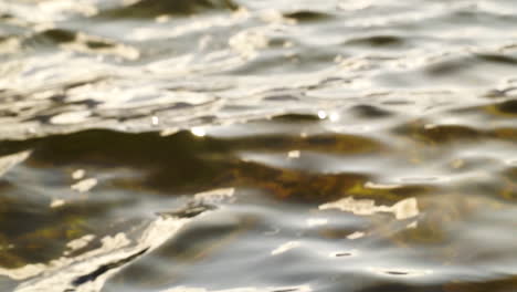 Water-surface,-ripples-in-slow-motion-close-up