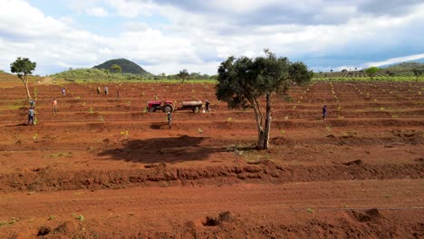 Hombre-Masai-Plantando-Aguacate,-Palas,-Tecnología-De-Agricultura-Inteligente-De-África,-Vista-Aérea-De-Drones-De-La-Granja-De-Aguacate-En-Kenia