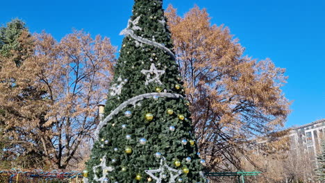 High-Christmas-tree-in-a-city-park-on-a-sunny-day-without-snow