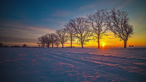 Sunrise-over-winter-Forest