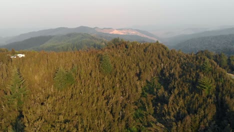 Luftaufnahme-über-Einen-Wald-In-Neuseeland,-An-Einem-Nebligen-Und-Nebligen-Morgen-Mit-Einem-Langsamen-Kameravorschub
